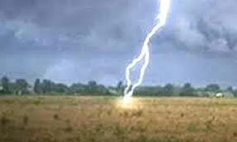 Người phụ nữ ở Hà Nội bị sét đánh nguy kịch khi đang hái rau