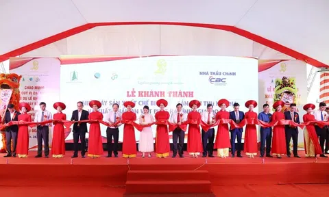 An Việt Phát Group: Hệ sinh thái nghìn tỷ của ‘nữ hoàng rơm rạ’ Bùi Thị Lan
