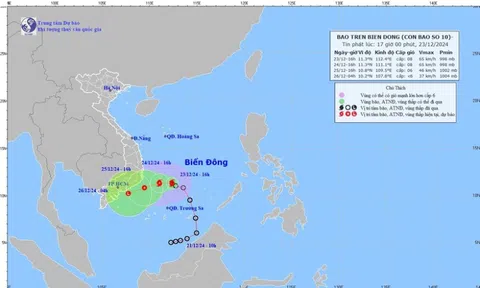 Chuyên gia khí tượng "phân tích" cơn bão số 10