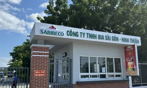 Bia Sài Gòn Ninh Thuận bị truy thu, phạt hàng trăm tỷ đồng tiền thuế