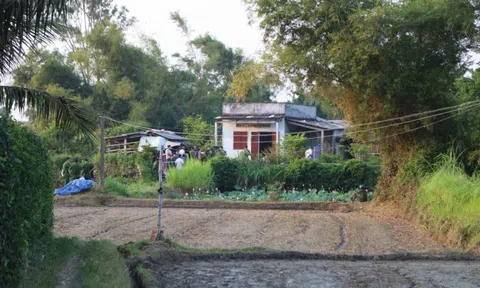 Vụ 4 người chết trong nhà tại Gia Lai: Hiện trường ám ảnh giữa cánh đồng biệt lập