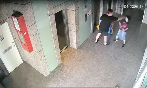 Bảo vệ cháu tự kỷ, cụ bà 79 tuổi bị tấn công ngay giữa chung cư