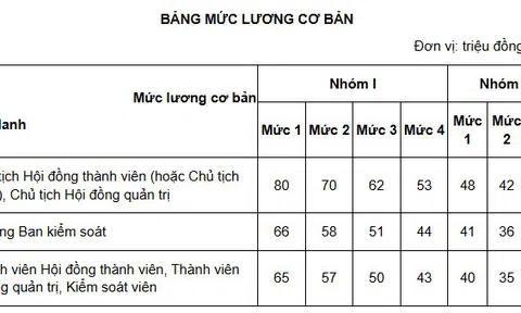 Bảng lương cơ bản mới chạm mốc 31.000.000 đồng/tháng (chưa bao gồm phụ cấp, tiền thưởng,...) áp dụng cho đối tượng thuộc nhóm mấy theo Nghị định 248?