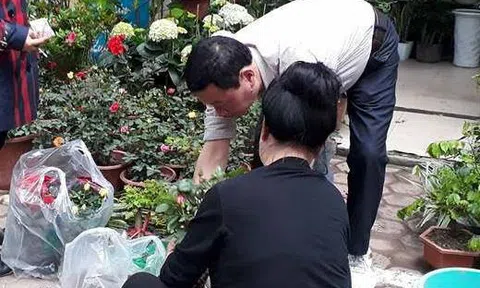 Phố cây cảnh Hoàng Hoa Thám rực rỡ chào hè