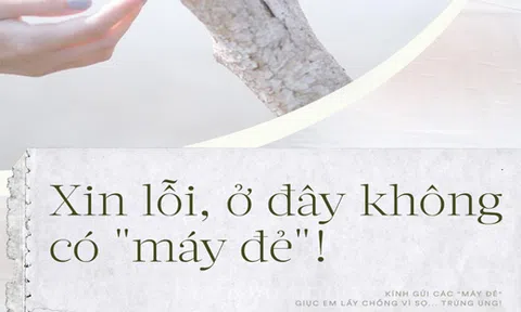 Xin lỗi, ở đây không có `máy đẻ` và em không `buôn chồng`!