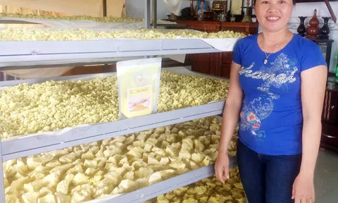 Người phụ nữ tiên phong đầu tư chế biến tinh bột nghệ sạch