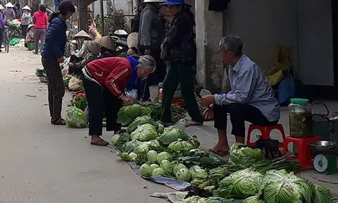 Thực phẩm xanh tại những khu chợ quê thu hút người tiêu dùng