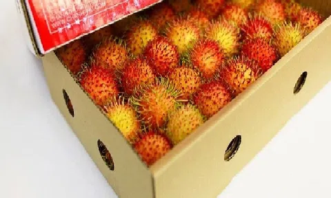 Chôm chôm Việt Nam rộng đường sang New Zealand