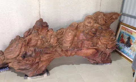 Đào được khúc gỗ sưa quý hiếm ở vuông tôm, giá 1,5 tỷ chưa bán