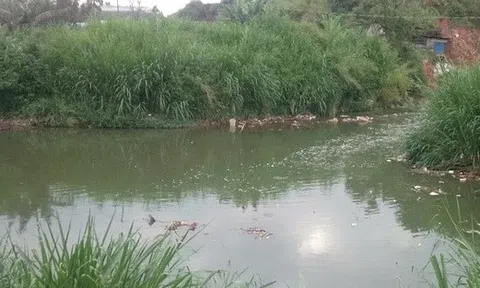 Lâm Đồng: Đi đánh cá điện, 2 thanh niên bị giật tử vong