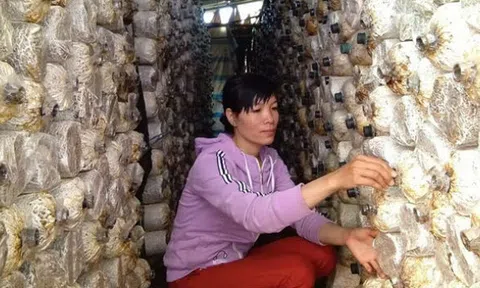 Khởi nghiệp từ 20 triệu đồng, mỗi năm thu nửa tỷ đồng từ nấm