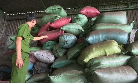 Hiệp hội hồ tiêu lên tiếng vụ trộn pin, vỏ cà phê vào tiêu