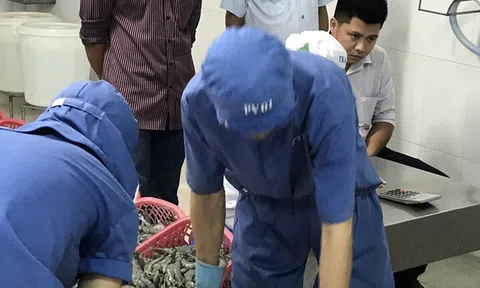 Bơm chích tạp chất vào tôm, 2 đối tượng bị xử phạt hàng trăm triệu