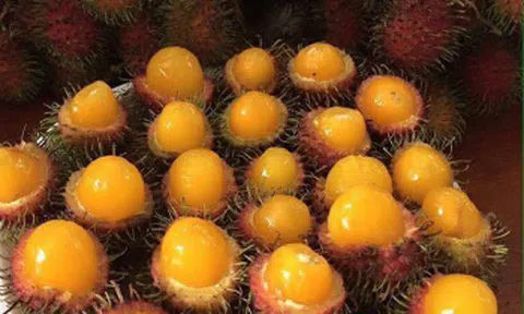 Chôm chôm, vải rừng hút khách mùa nóng