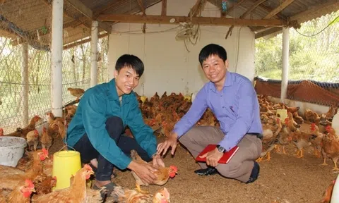 9x gác chuyện vợ con, chăm chỉ nuôi gà và cá, kiếm trăm triệu đồng/năm