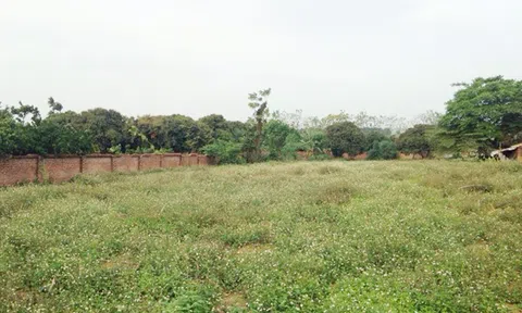  Mất hết vốn lại còn mang nợ khi bỏ 1 tỷ mua đất Hà Nội sau 10 năm