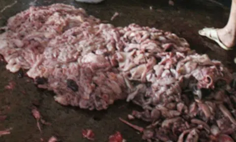 Phát hiện cơ sở nấu mỡ động vật bẩn, bốc mùi hôi thối