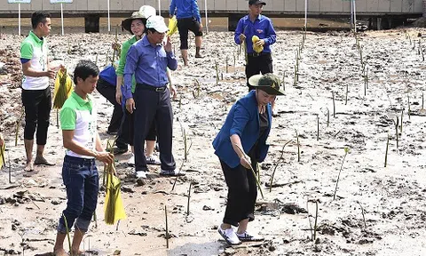 Vinamilk trồng gần 100 ngàn cây xanh và trao tặng 66.000 ly sữa tại tỉnh Cà Mau