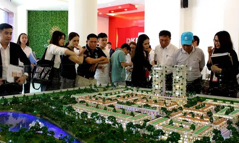 Bà Rịa – Vũng Tàu: Tại sao thị trường bất động sản vào hồi “nóng sốt”?