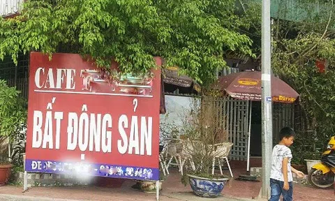 Đất Vân Đồn, Phú Quốc hạ nhiệt