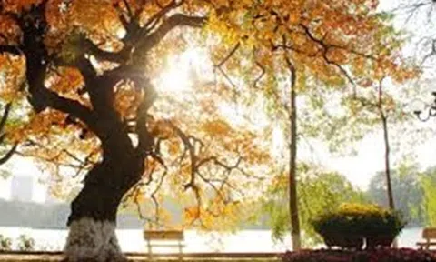 Thời tiết ngày 6/5: Hà Nội xuất hiện nắng đầu mùa, Sài Gòn mưa dông