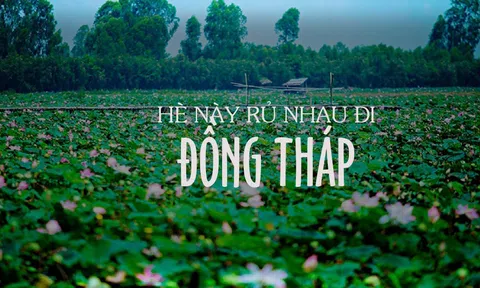 Hè này, nếu thích một nơi sông nước thì hãy ghé thăm Đồng Tháp