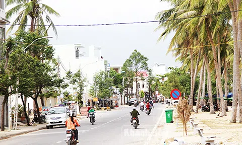 Tạm ngừng các giao dịch về đất tại Vân Phong