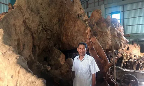 Miễn cưỡng mua gốc cây 35 triệu, nào ngờ được báu vật 35 tỷ