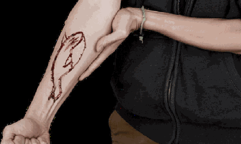 Tường tận lời giải đáp vì sao đã `nhúng chàm` cá voi xanh thì không thoát ra được