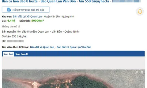 Rao bán đảo, đất rừng tại Vân Đồn