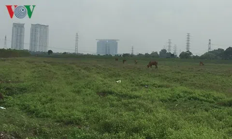 Sốt ảo đẩy giá đất ở Bình Dương tăng tới 400%, nguy cơ vỡ bong bóng