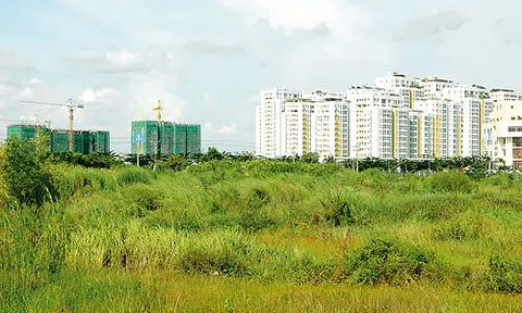 Chính phủ điều chỉnh quy hoạch sử dụng đất ở 13 tỉnh