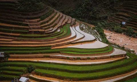 Xiêu lòng trước Mù Căng Chải mùa nước nổi