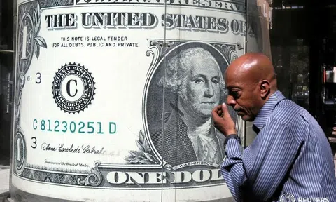 Tỷ giá ngoại tệ ngày 14/5: USD, Euro giảm