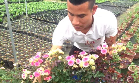 Bỏ việc trồng hoa, 9X thu 450 triệu/tháng