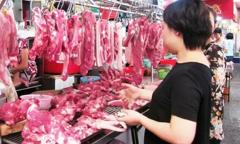 Heo hơi tăng giá đột biến