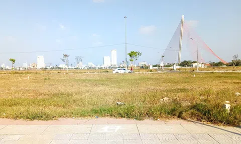 Đà Nẵng hoán đổi 6.000 m2 đất để mở rộng công viên APEC