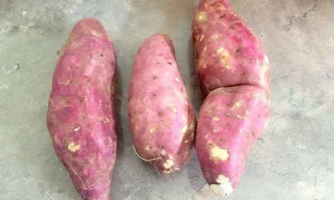 Giá khoai lang Nhật tại ruộng 3.000, siêu thị vẫn bán 17.000 đ/kg
