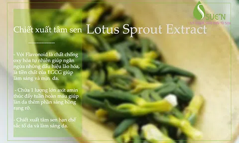 Nghệ thuật sử dụng chiết xuất tâm sen trong mỹ phẩm làm đẹp