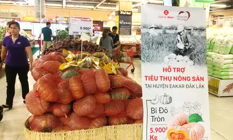 Các siêu thị lại giải cứu bí đỏ, dưa hấu