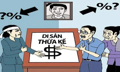 300 triệu có đủ phí kiện tranh chấp đất?