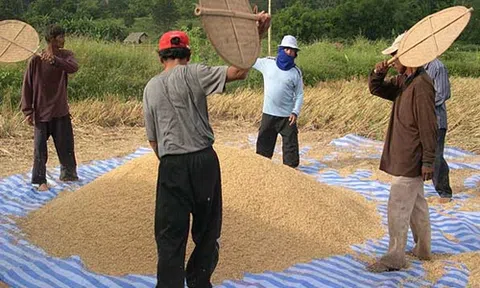 Bài học xây dựng thương hiệu gạo của Thái Lan