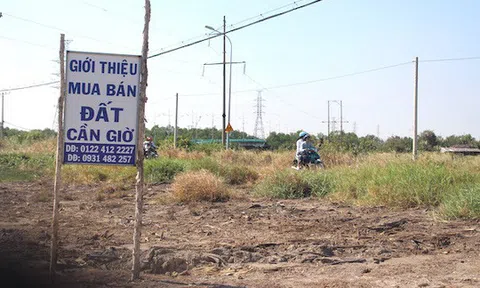 Đất nền vùng ven TP HCM đã hết sốt?