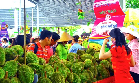 Gần 1.000 tấn trái cây chào Lễ hội trái cây Nam Bộ 2018