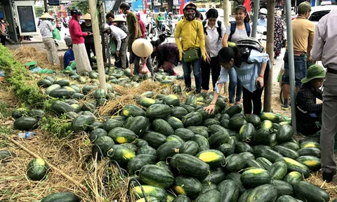 Báo động đỏ tình trạng giải cứu nông sản