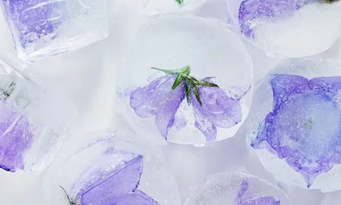 Thư giãn và thu nhỏ lỗ chân lông tức thì với đá viên hoa quả