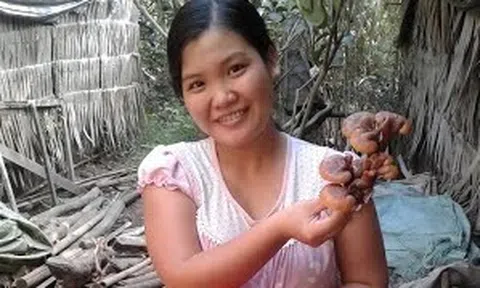 Theo chồng bỏ việc về quê khởi nghiệp trồng nấm, đếm tiền rủng rỉnh