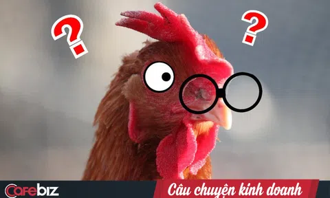 `Gã điên` đốt tiền tấn để nghiên cứu làm kính áp tròng cho… gà