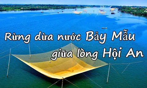 Hè này nhất định phải khám phá Bảy Mẫu - Rừng dừa nước độc đáo giữa lòng Hội An