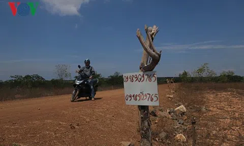 Đất nông nghiệp được rao bán tràn lan tại Phan Thiết